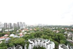 Regency Park (D10), Condominium #520720351